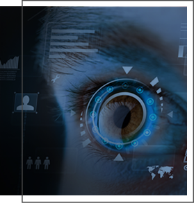 vision
